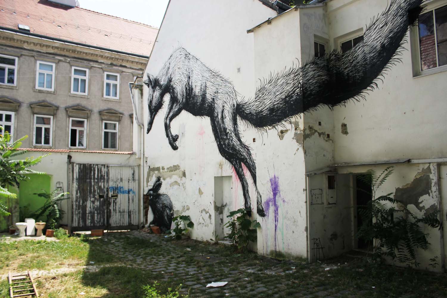 Foxs-house