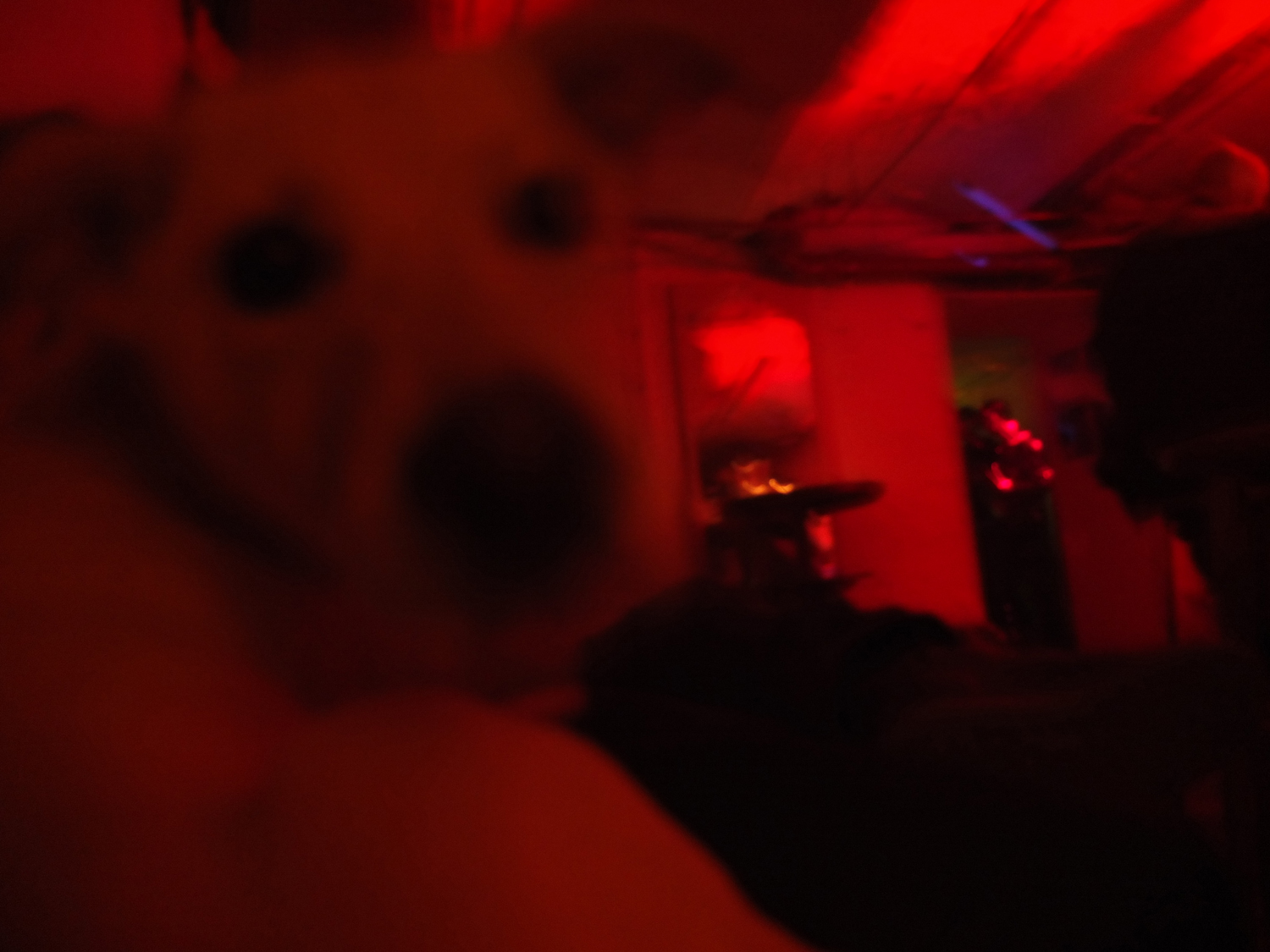 DSCF2373