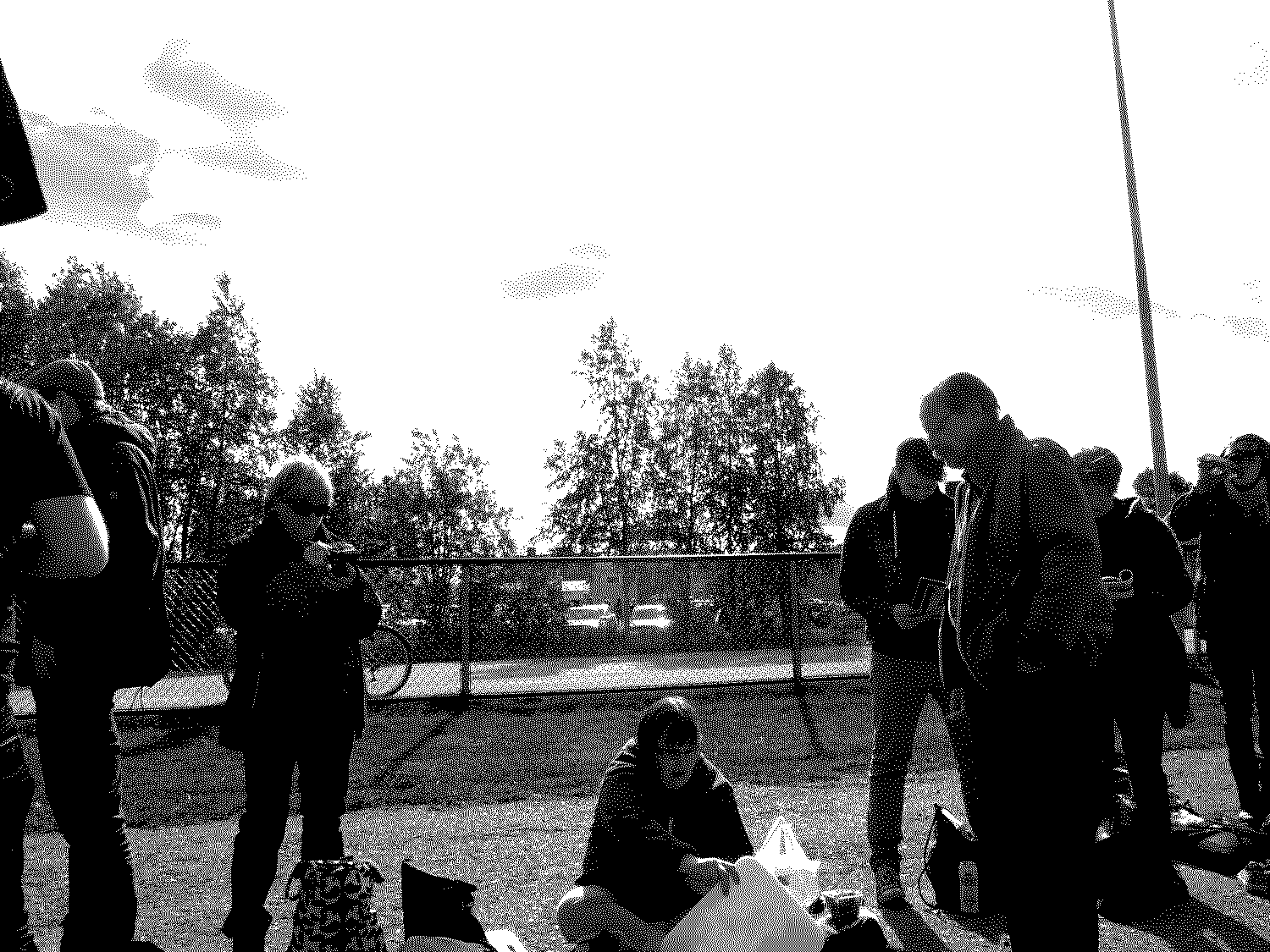 Midnight Sun Film Festival - Silent Traveler
