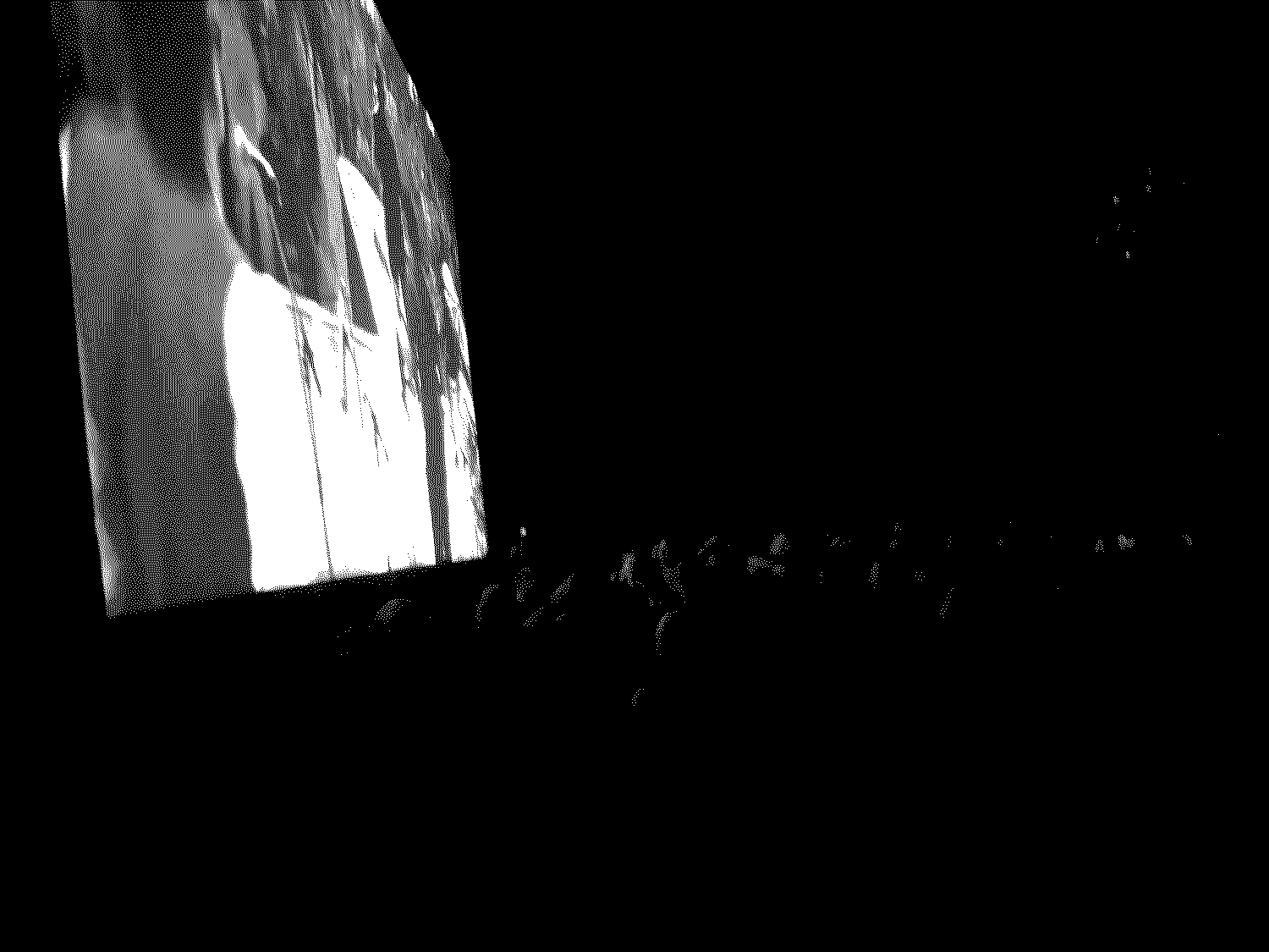 Blues Brothers Midnight Sun Film Festival - Silent Traveler