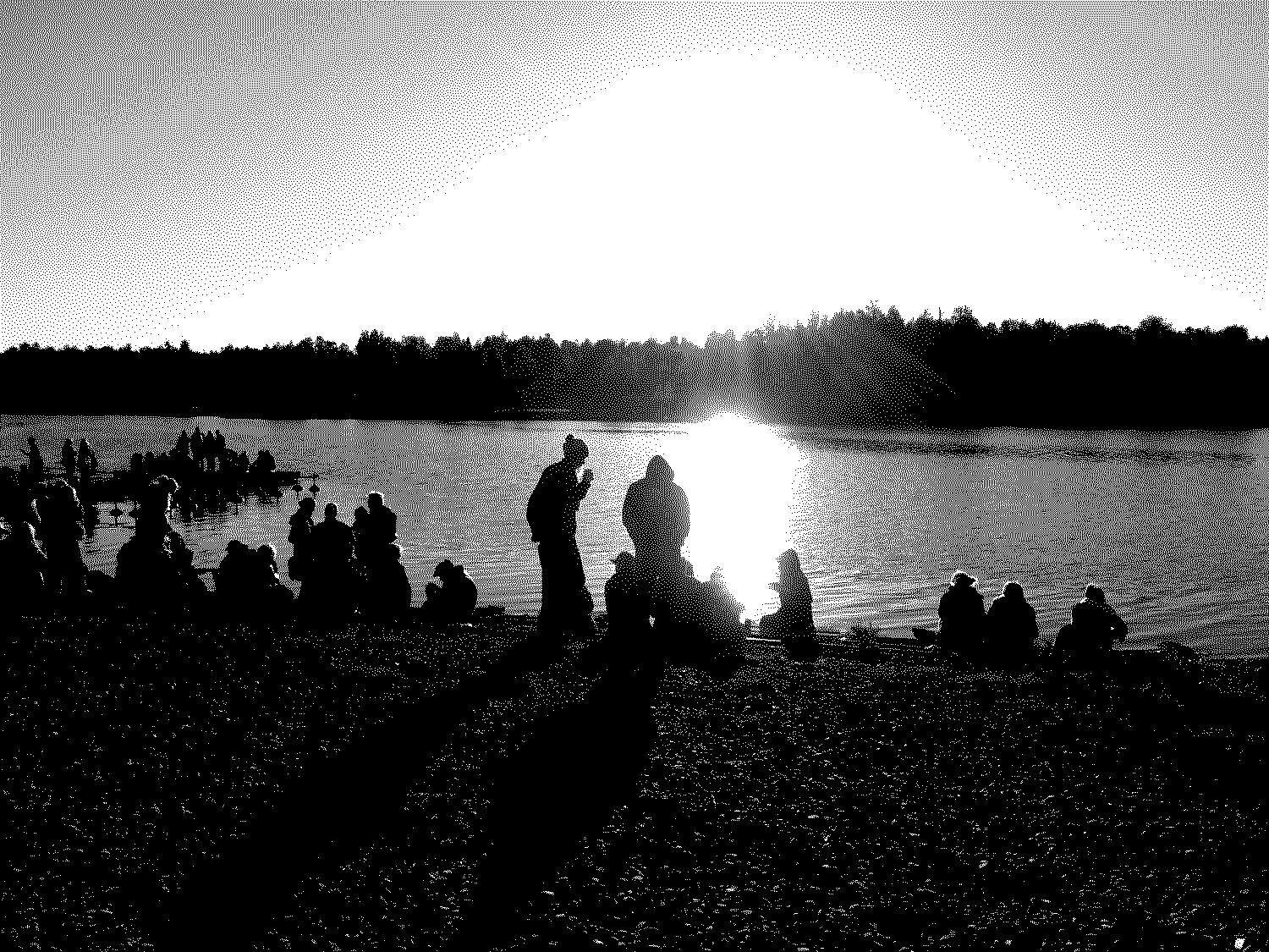 Midnight Sun Film Festival - Silent Traveler 