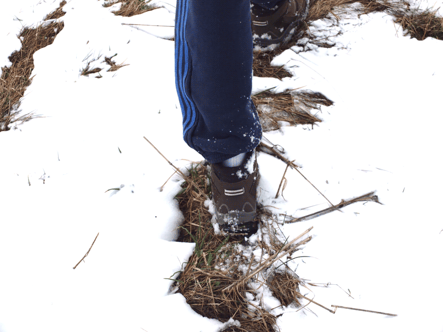 walkSnowBIG