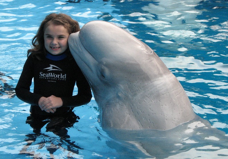 Sea World Little girl