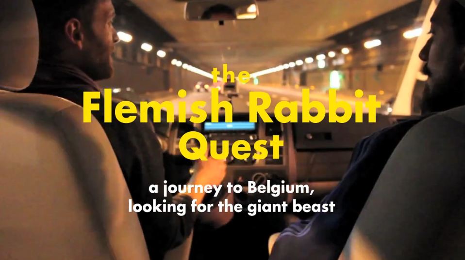 The Flemish Rabbit Quest