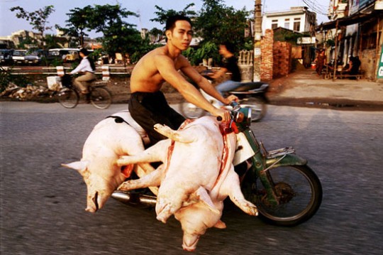 Vietnamese bikes of burden